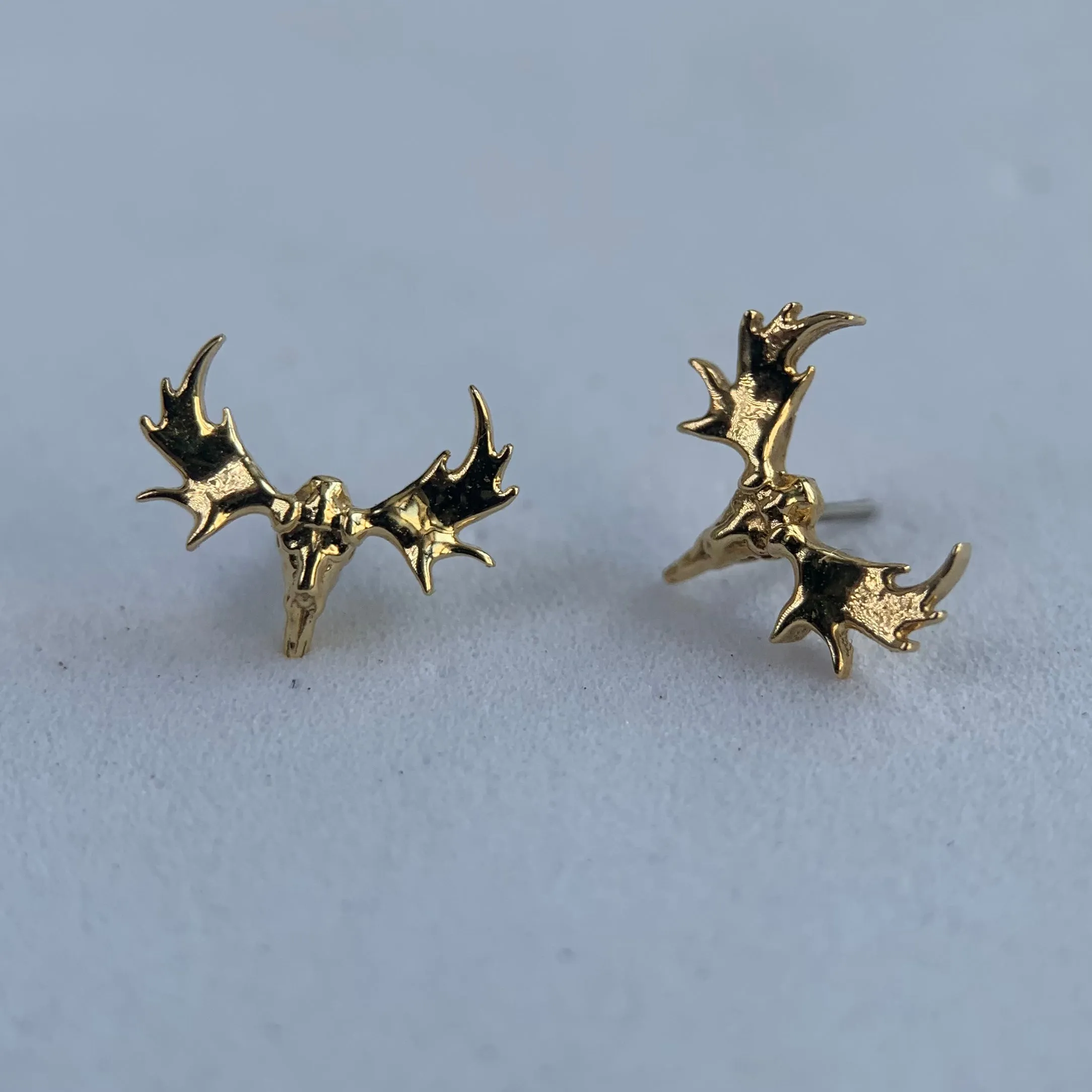 Anatometal Moose Skull Ends