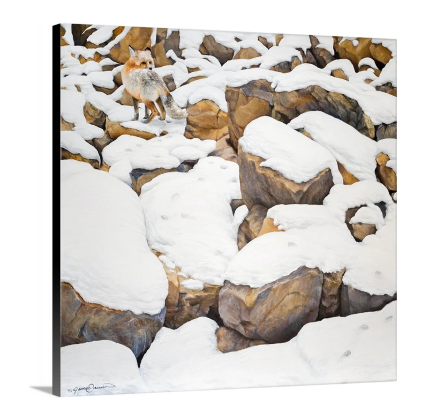 Fox in Rocks- First in Series