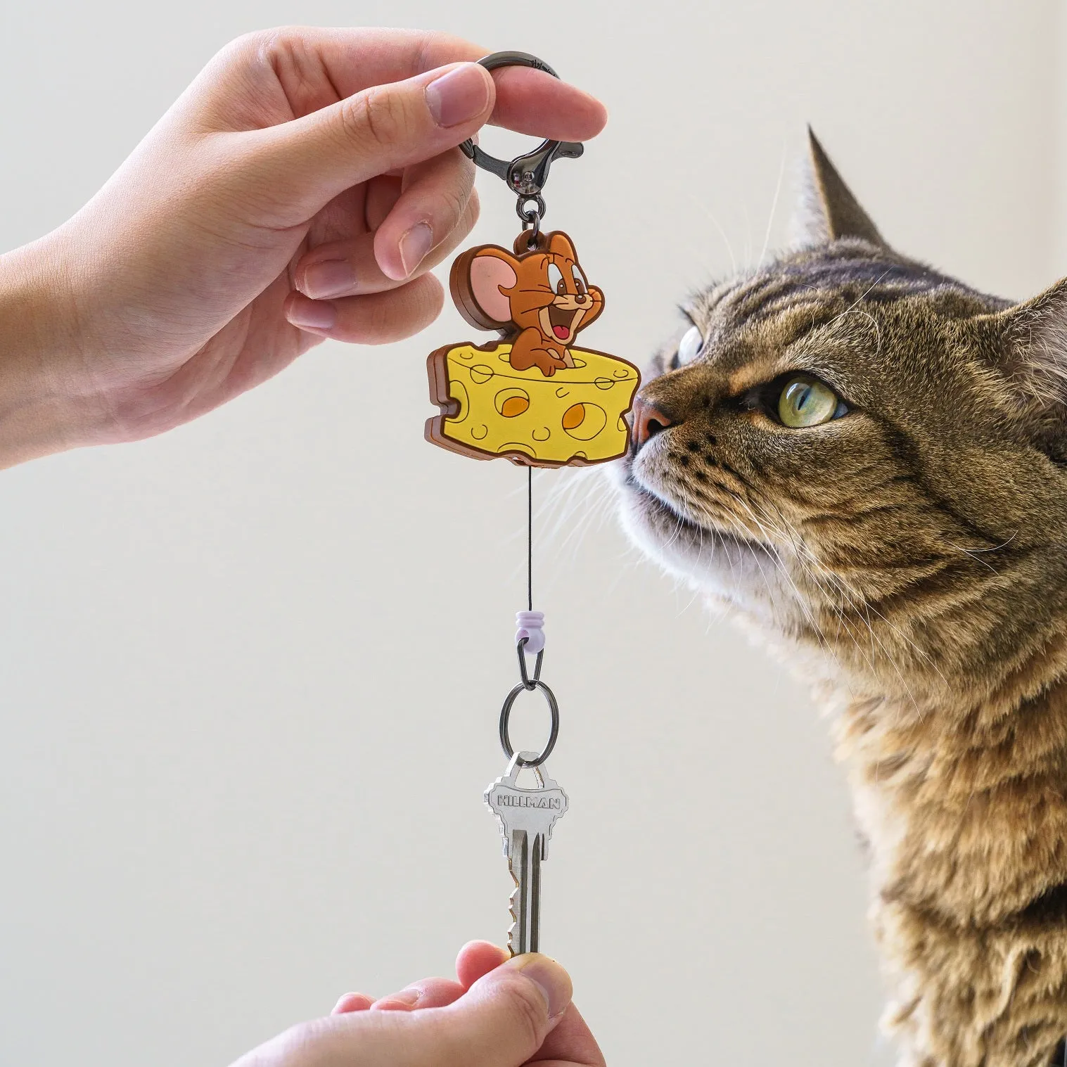 MINISO Tom&Jerry I love cheese Collection Retractable Key Chain(Tom)