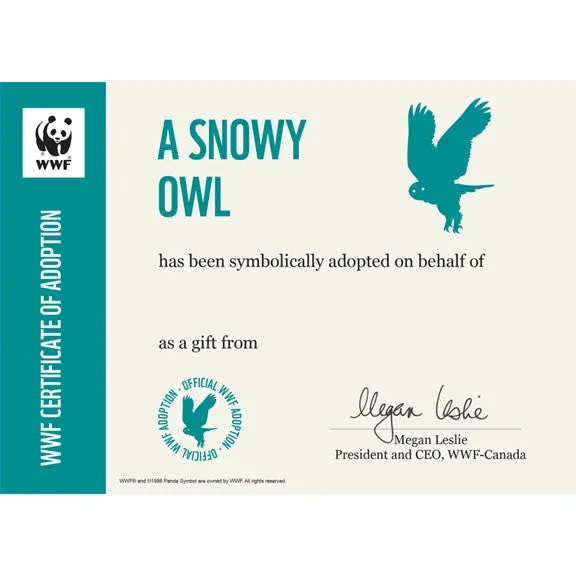 Snowy owl adoption card